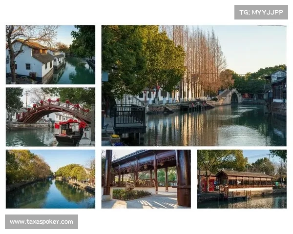 金泽古镇与大观园融合赛事文化体验打造传统与现代交汇的独特亮点